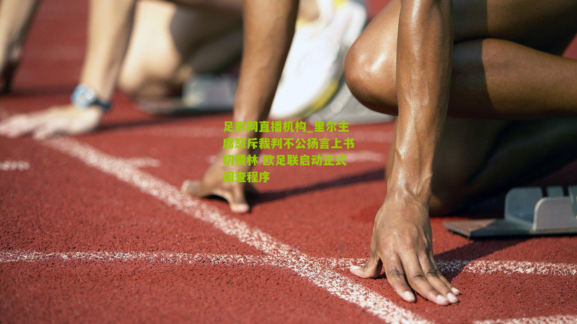 里尔主席怒斥裁判不公扬言上书切费林 欧足联启动正式调查程序