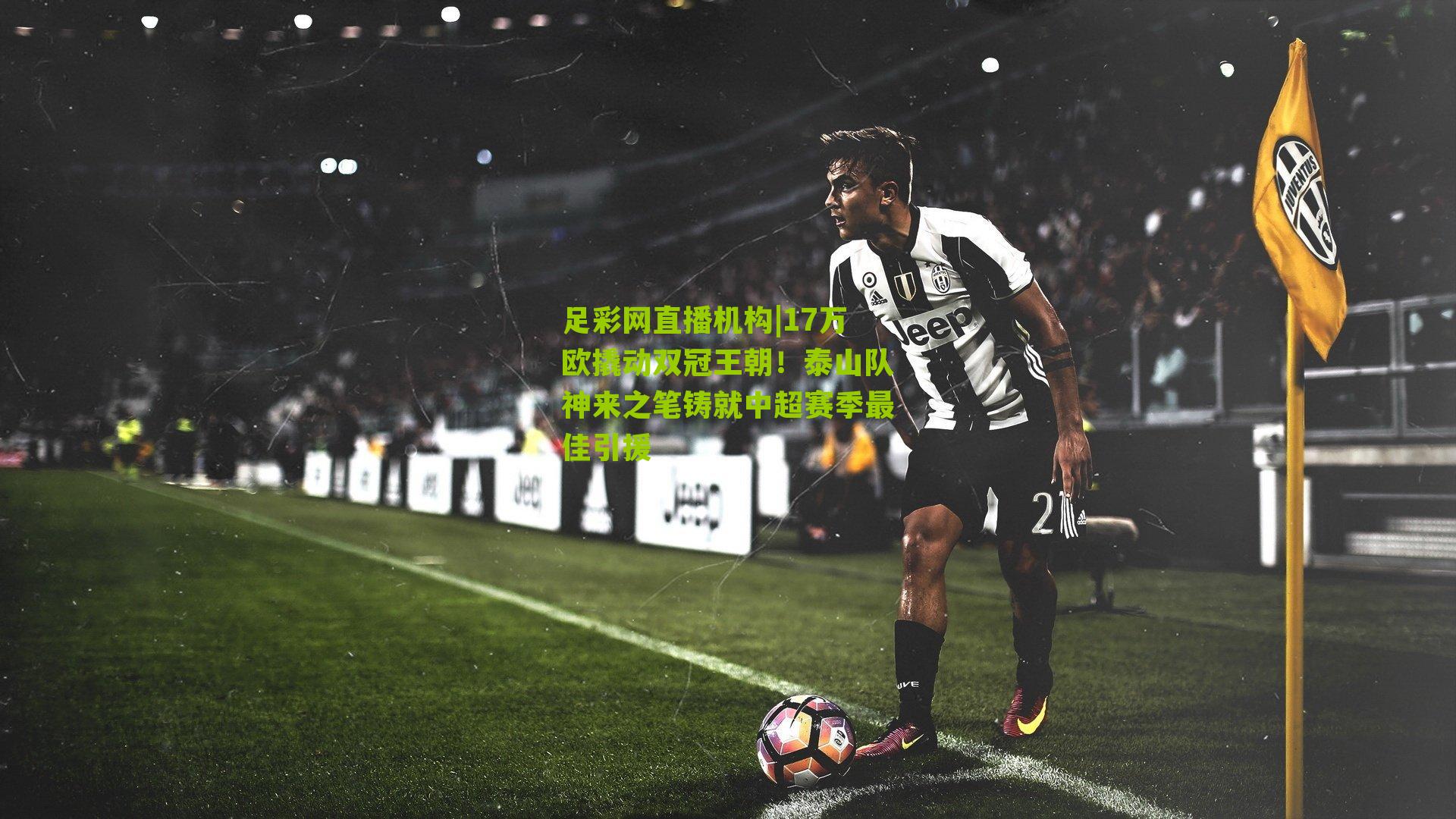 17万欧撬动双冠王朝！泰山队神来之笔铸就中超赛季最佳引援