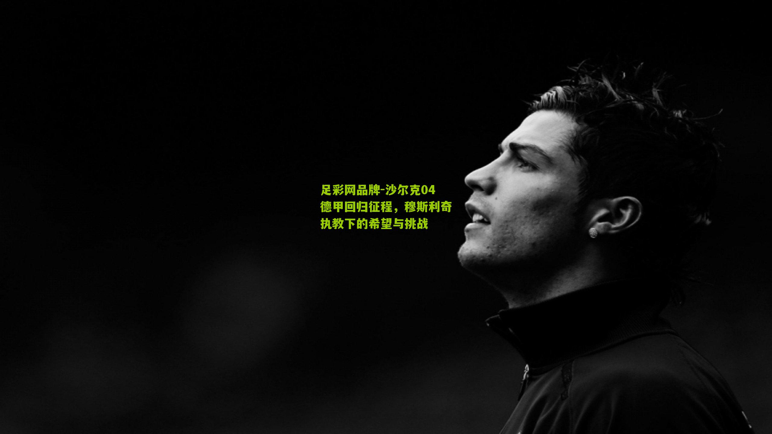 沙尔克04德甲回归征程，穆斯利奇执教下的希望与挑战