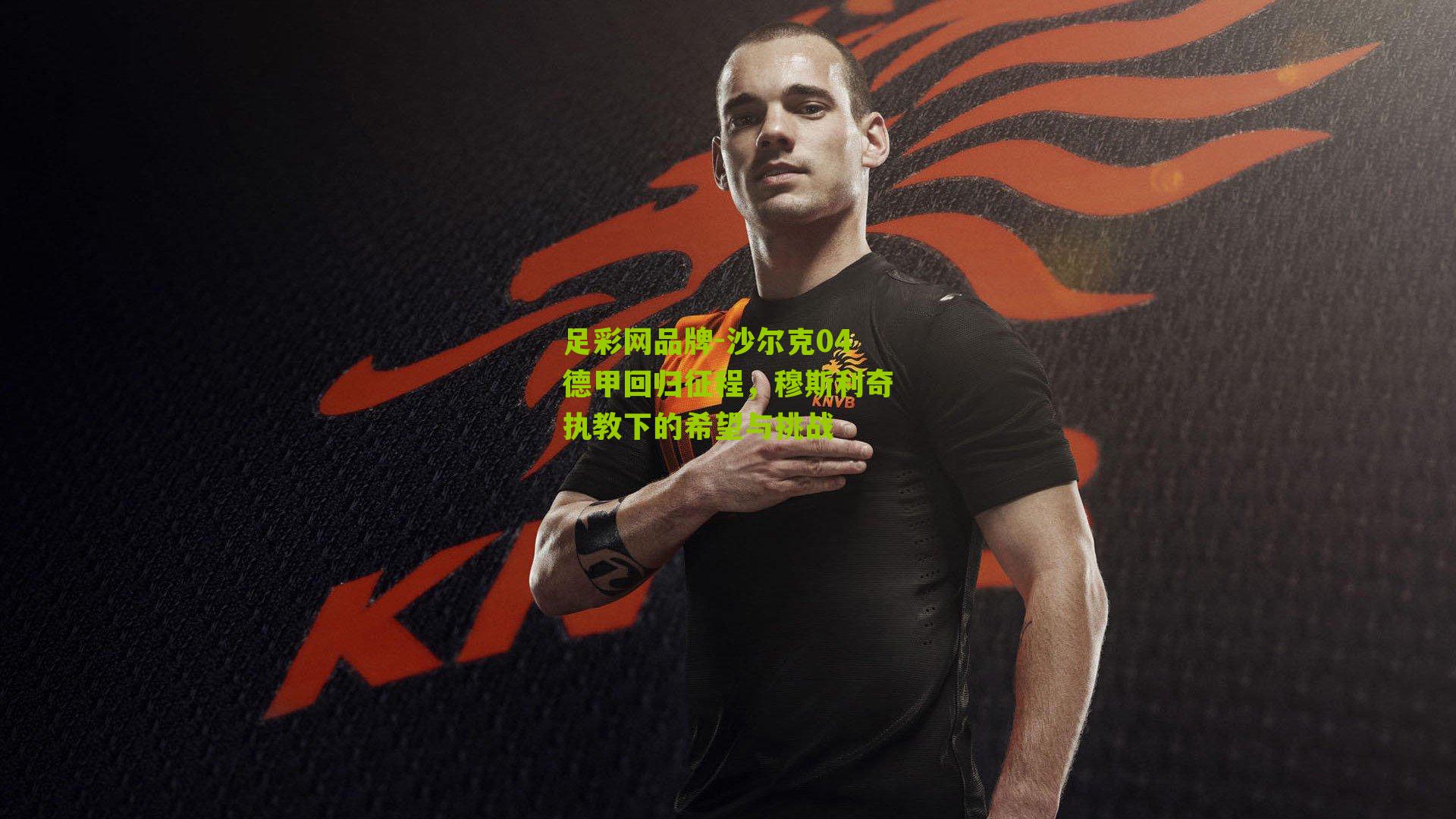 沙尔克04德甲回归征程，穆斯利奇执教下的希望与挑战